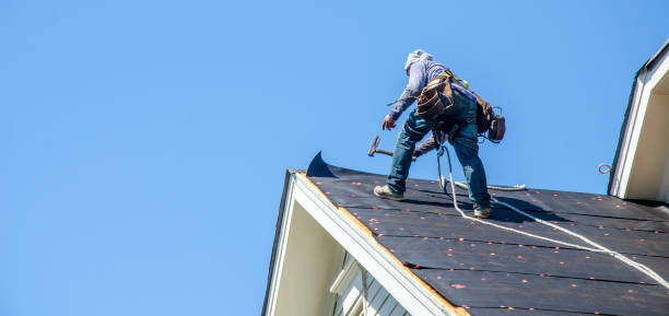 Best Roof Gutter Cleaning  in Linthicum, MD